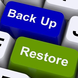 Cpanel Disaster Recovery